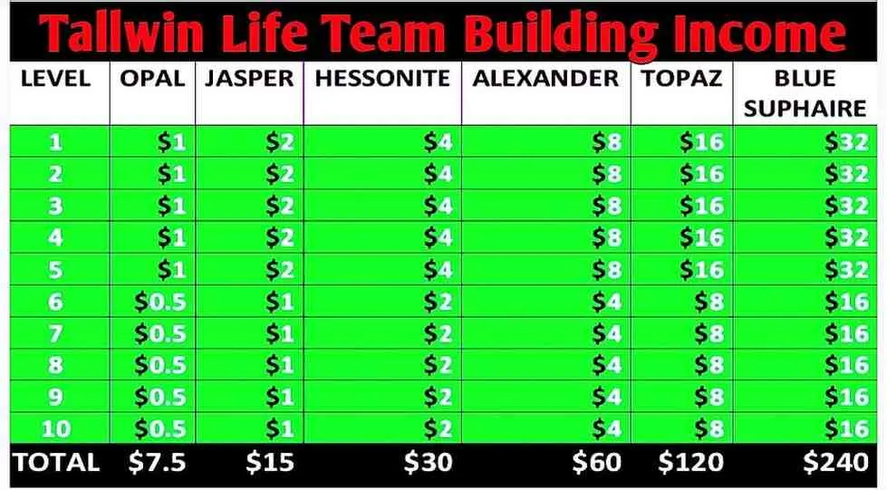tallwin life auto team building income plan